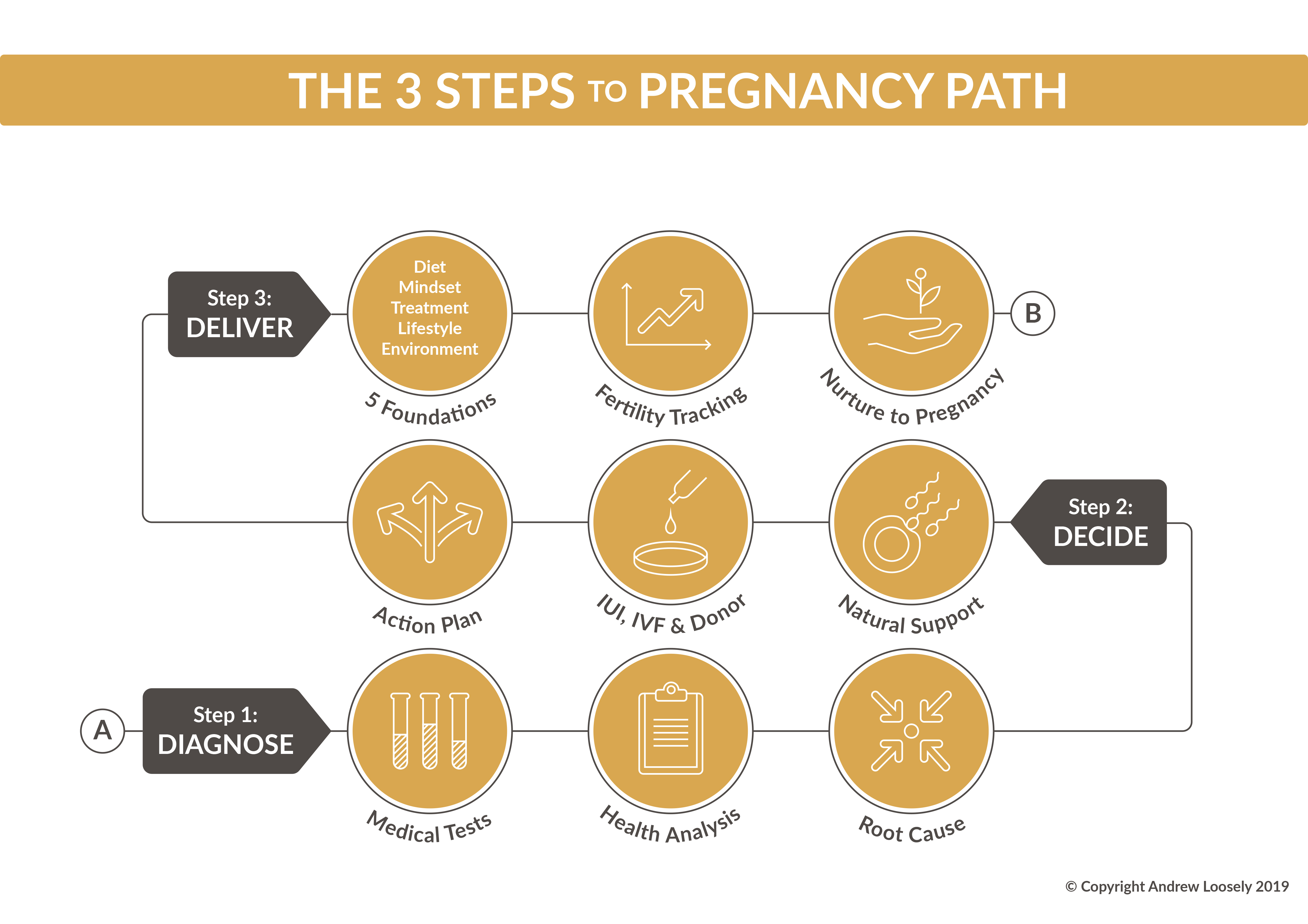 3 Steps to pregnancy path